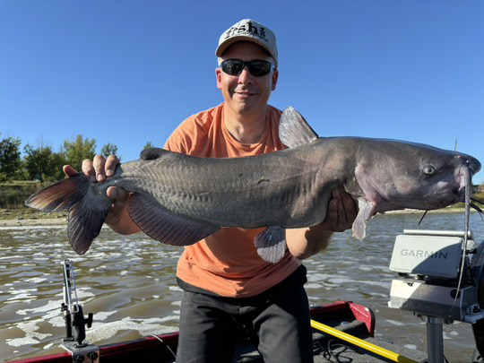 Channel Catfish