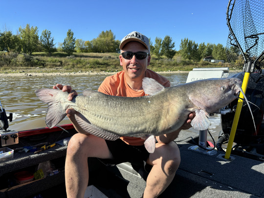 Channel Catfish