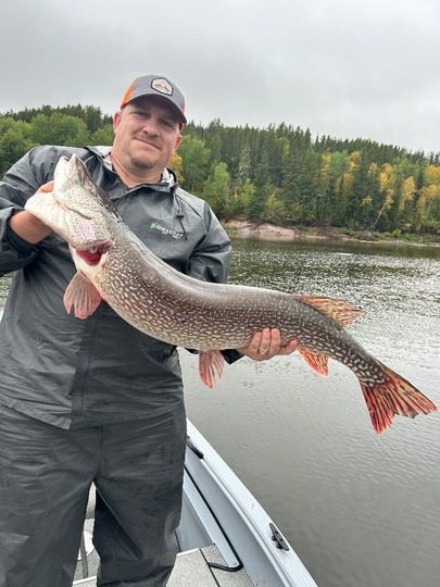 Northern Pike