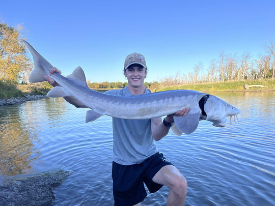 Lake Sturgeon