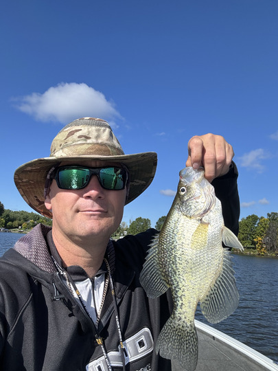 Black Crappie