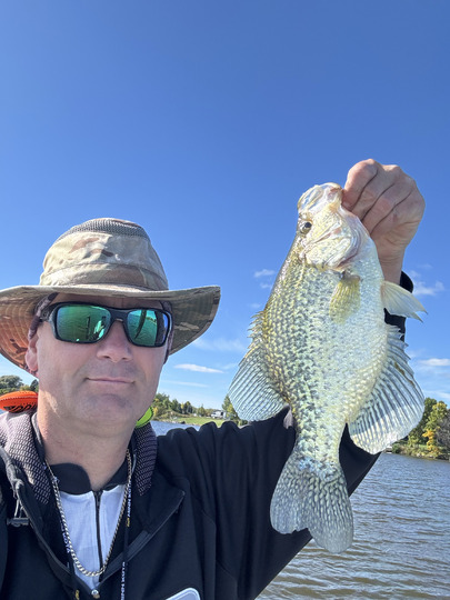 Black Crappie