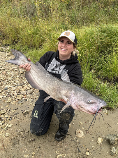 Channel Catfish