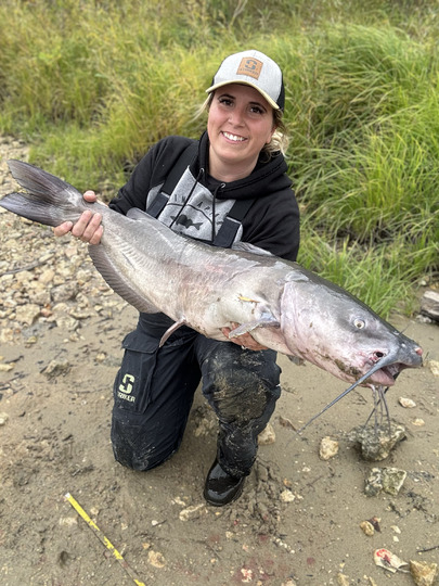 Channel Catfish