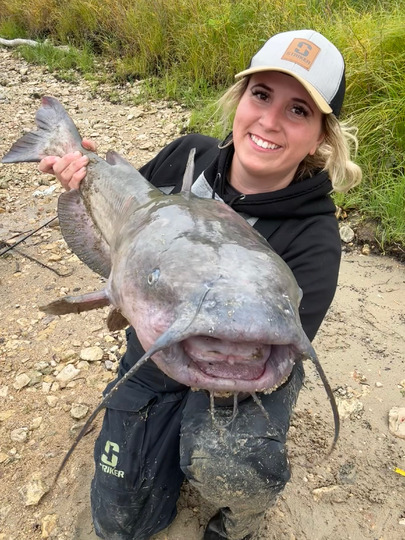 Channel Catfish