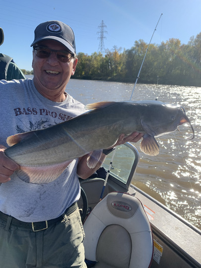 Channel Catfish