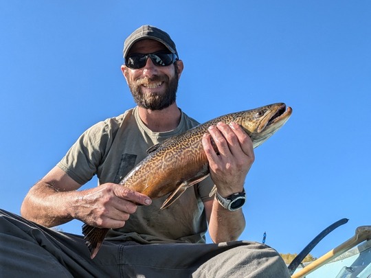 Tiger Trout