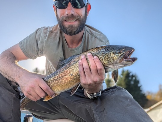 Tiger Trout