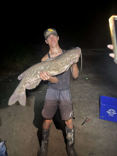 Channel Catfish