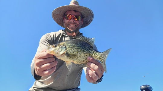 Black Crappie