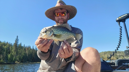 Black Crappie