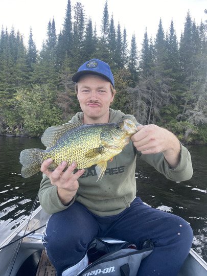 Black Crappie