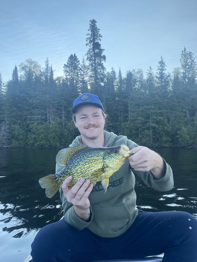 Black Crappie