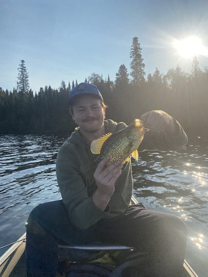 Black Crappie