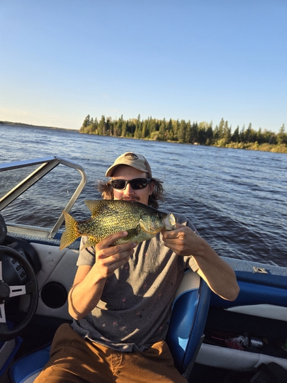 Black Crappie