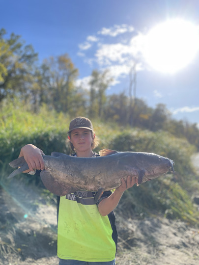 Channel Catfish