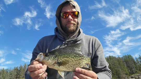 Black Crappie