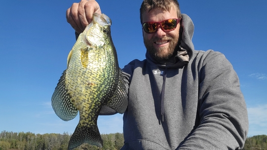 Black Crappie