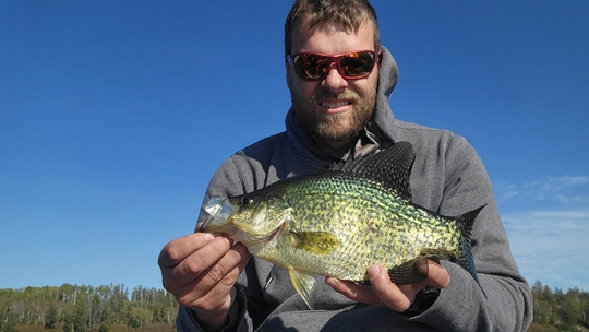 Black Crappie