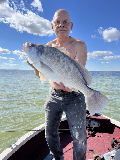 Freshwater Drum