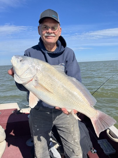 Freshwater Drum