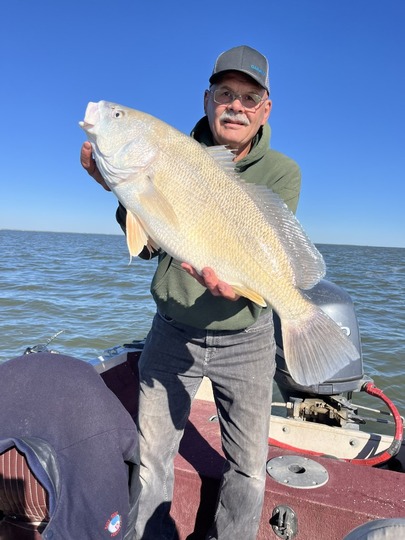 Freshwater Drum