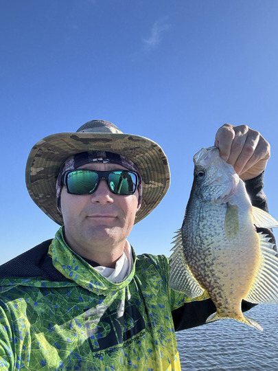 Black Crappie