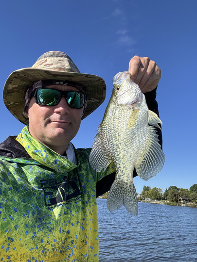 Black Crappie