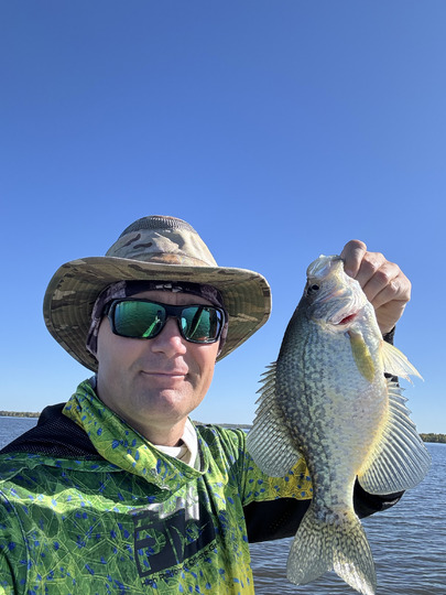 Black Crappie