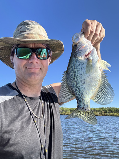 Black Crappie