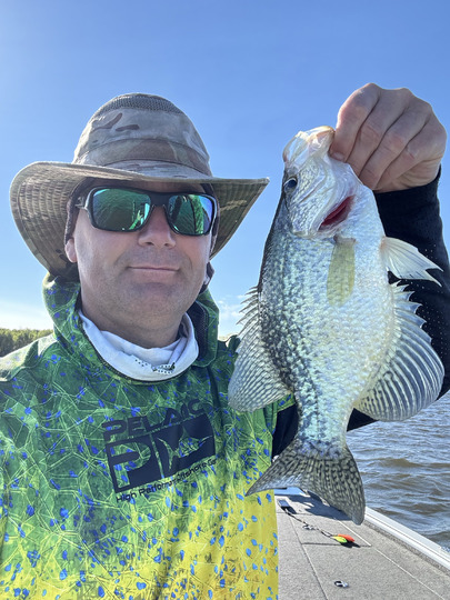 Black Crappie