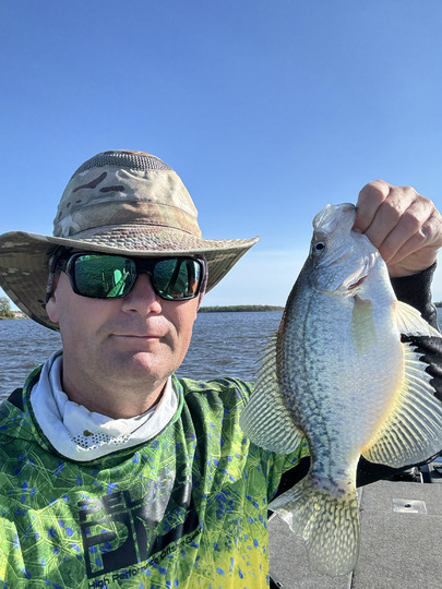 Black Crappie