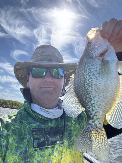 Black Crappie