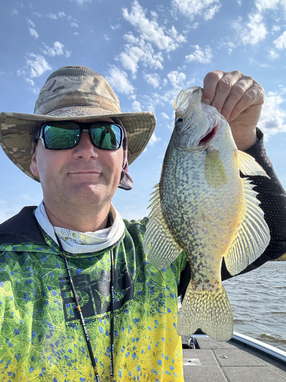 Black Crappie