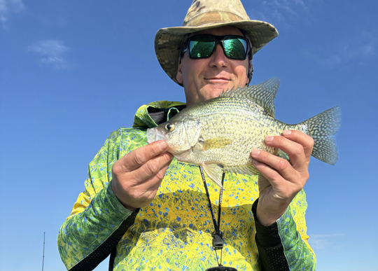 Black Crappie