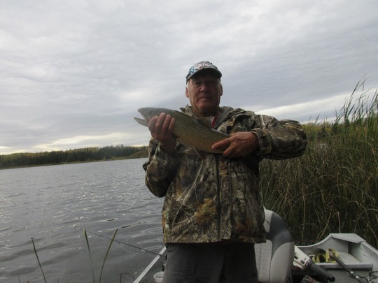 Tiger Trout