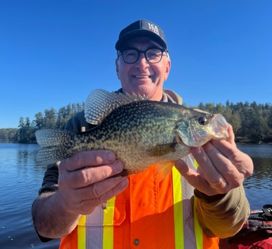 Black Crappie