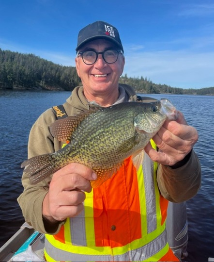 Black Crappie