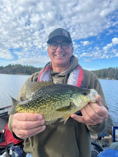 Black Crappie