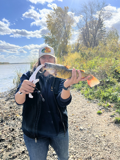 Bullhead