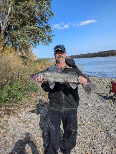 Walleye