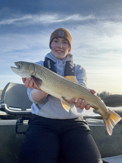 Tiger Trout