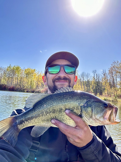 Largemouth Bass