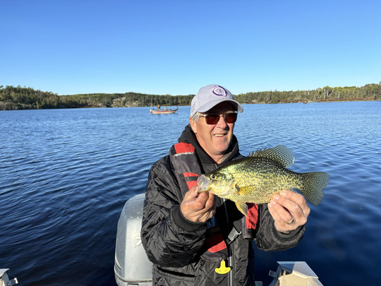 Black Crappie