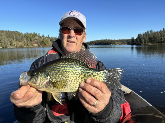 Black Crappie