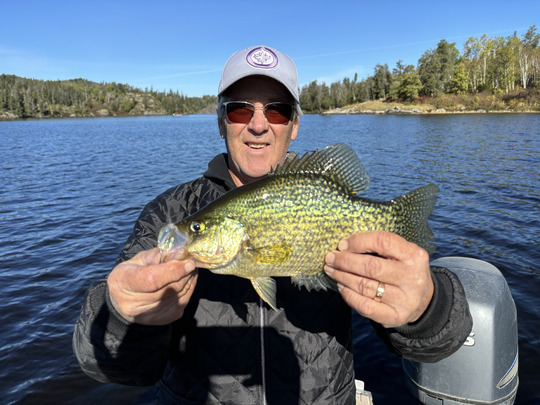 Black Crappie