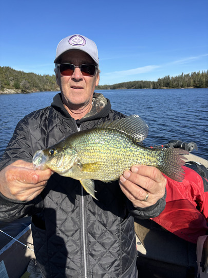 Black Crappie