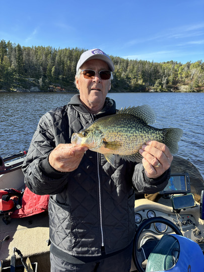 Black Crappie