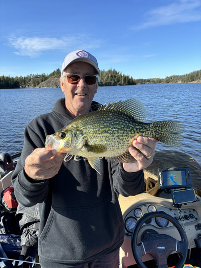 Black Crappie