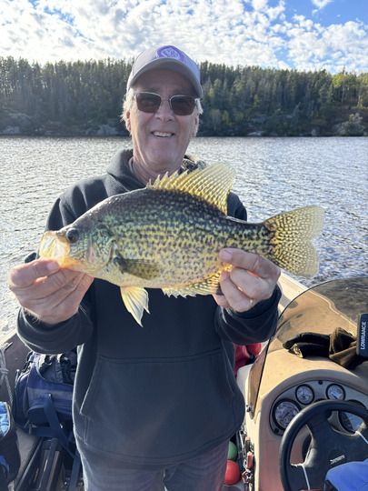 Black Crappie